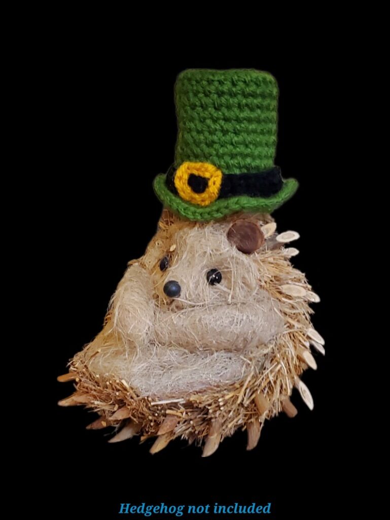 Little Crochet Leprechaun Hat on Hedgehog